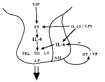 Chemistry Diagram 