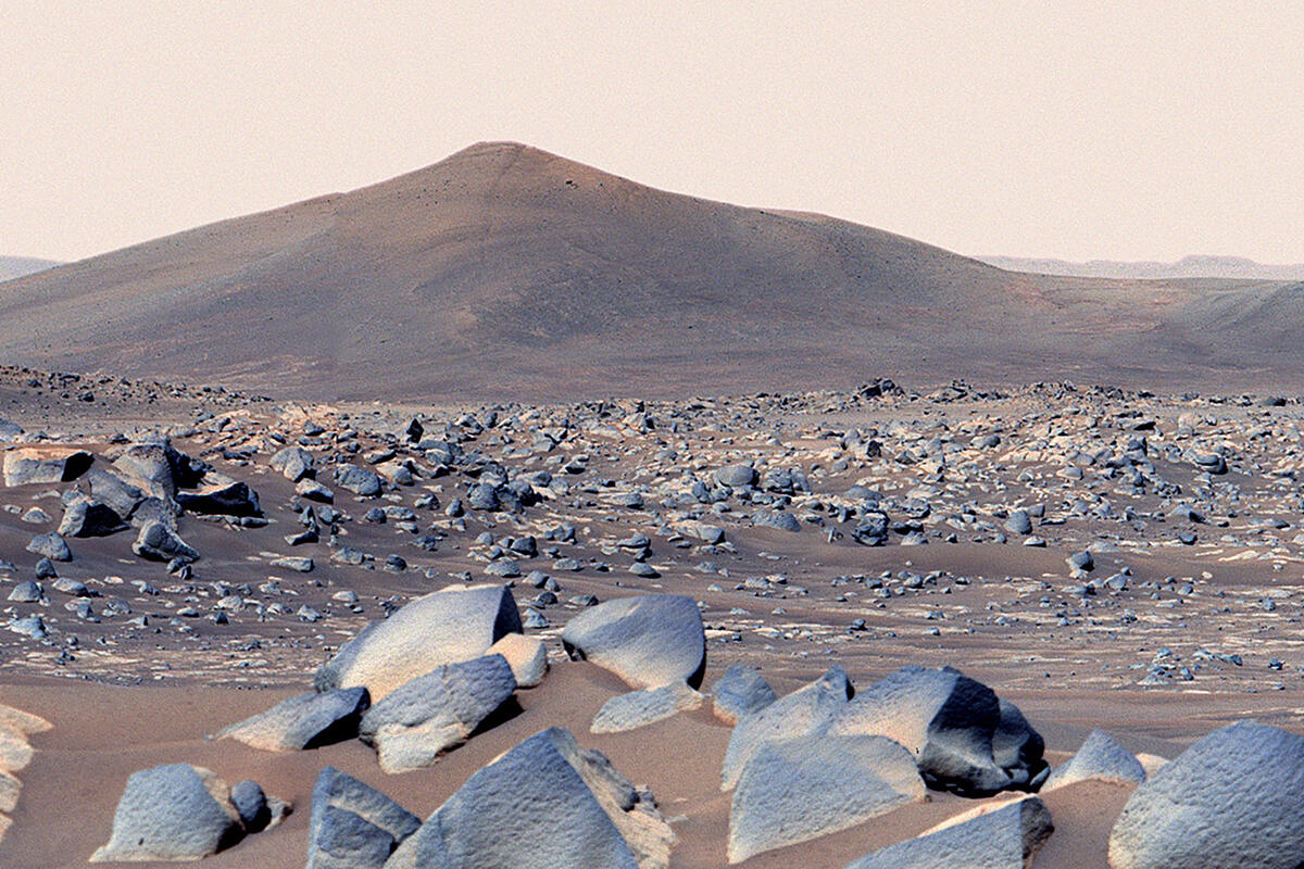 An image of rocks snapped by NASA's Mars Perseverance rover