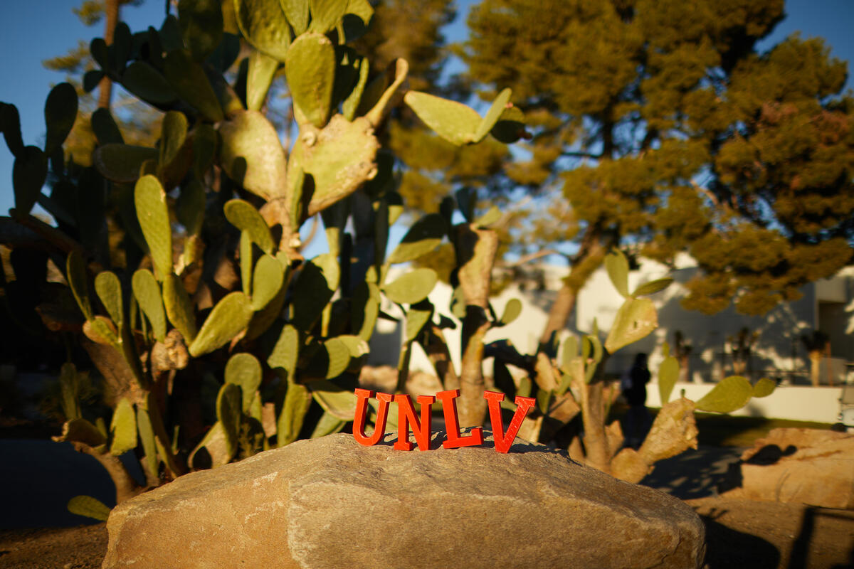 photo of UNLV letters on a rock with cactus leaves