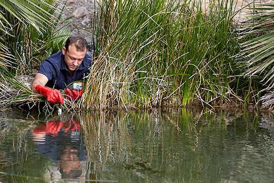 Brian Hedlund taking a water sample