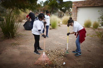 Student volunteers rake up leaves.