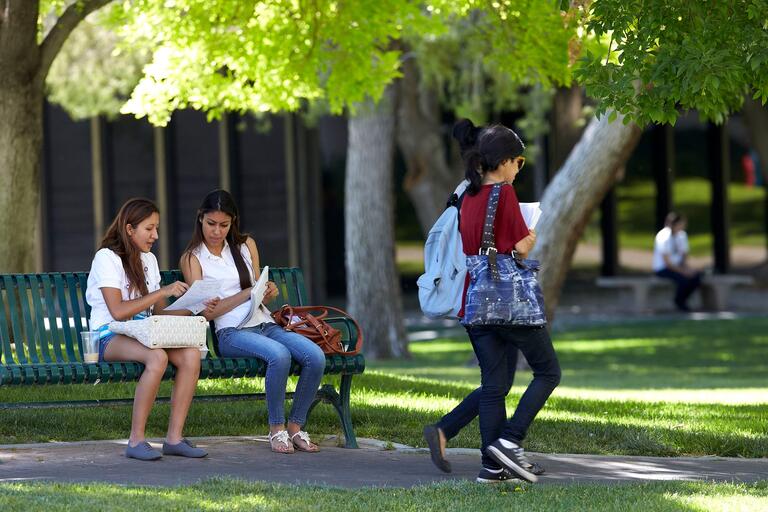 Students sitting on a bench outside studying.