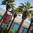 Palm trees and U.N.L.V. banner