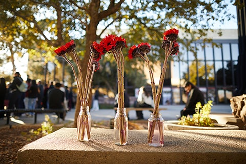 Three vases with flowers