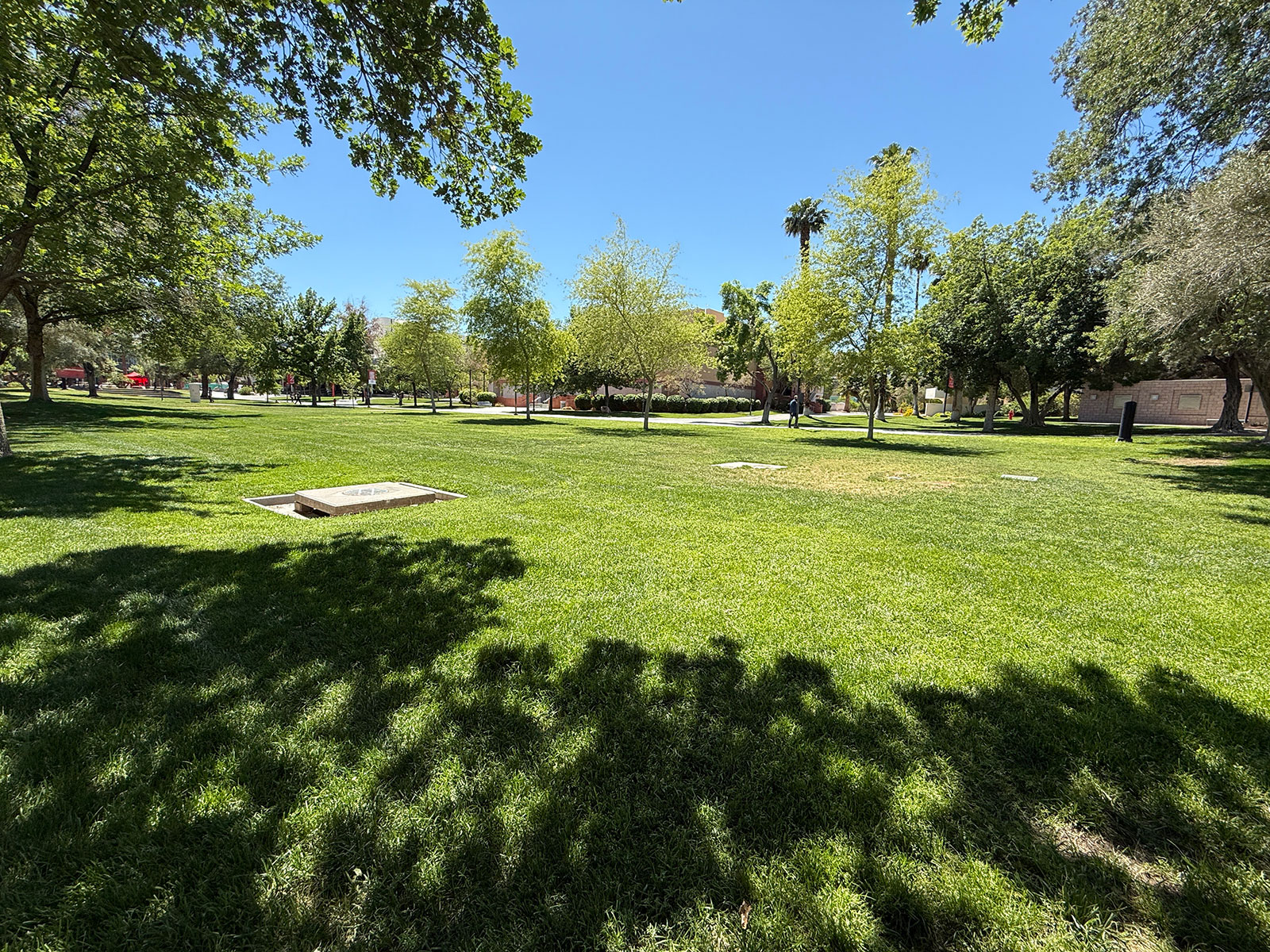 A grass field with trees on campus in front of the William S. Boyd School of Law Building