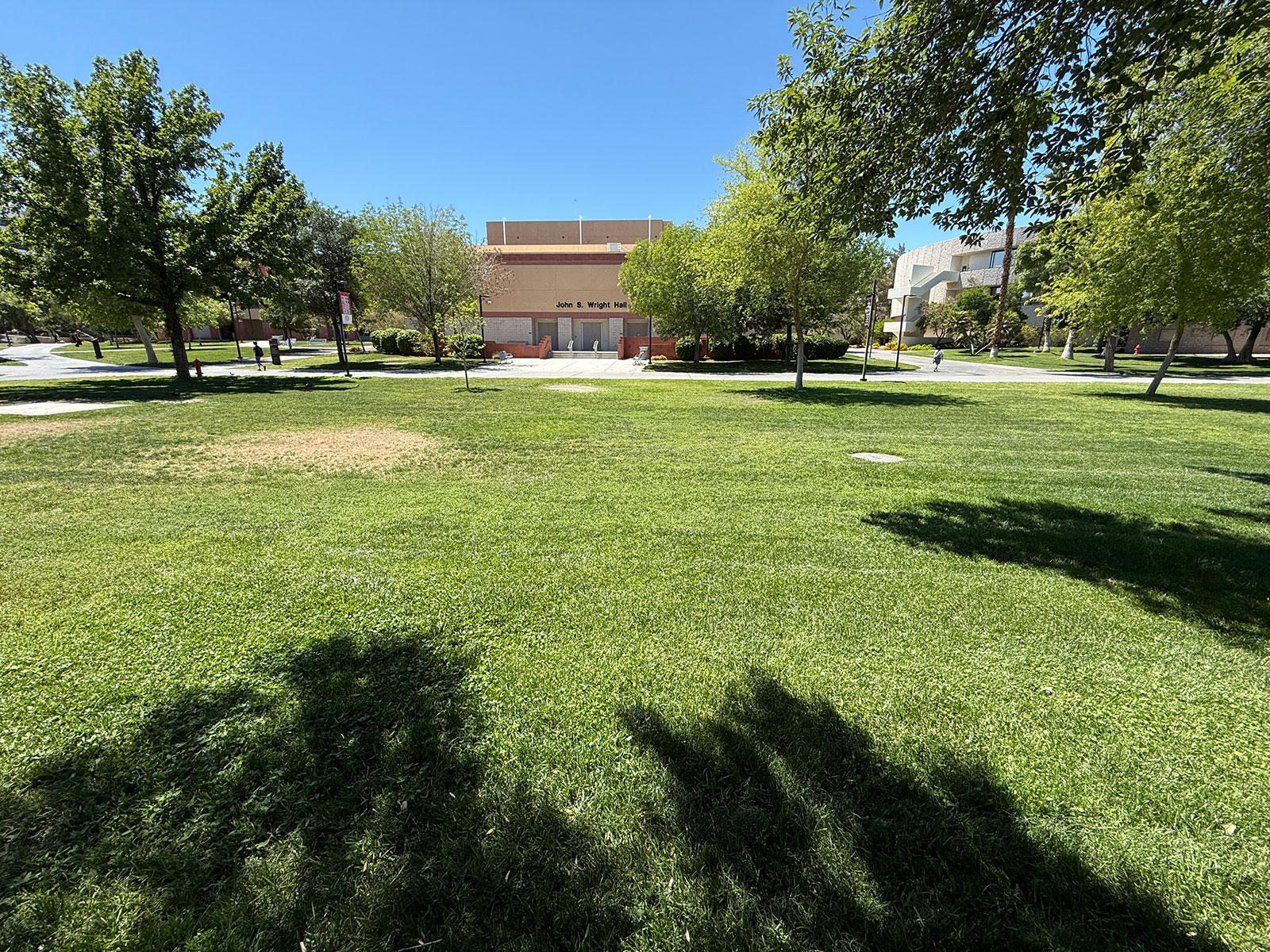 A grass field with trees on campus in front of the WRI Building