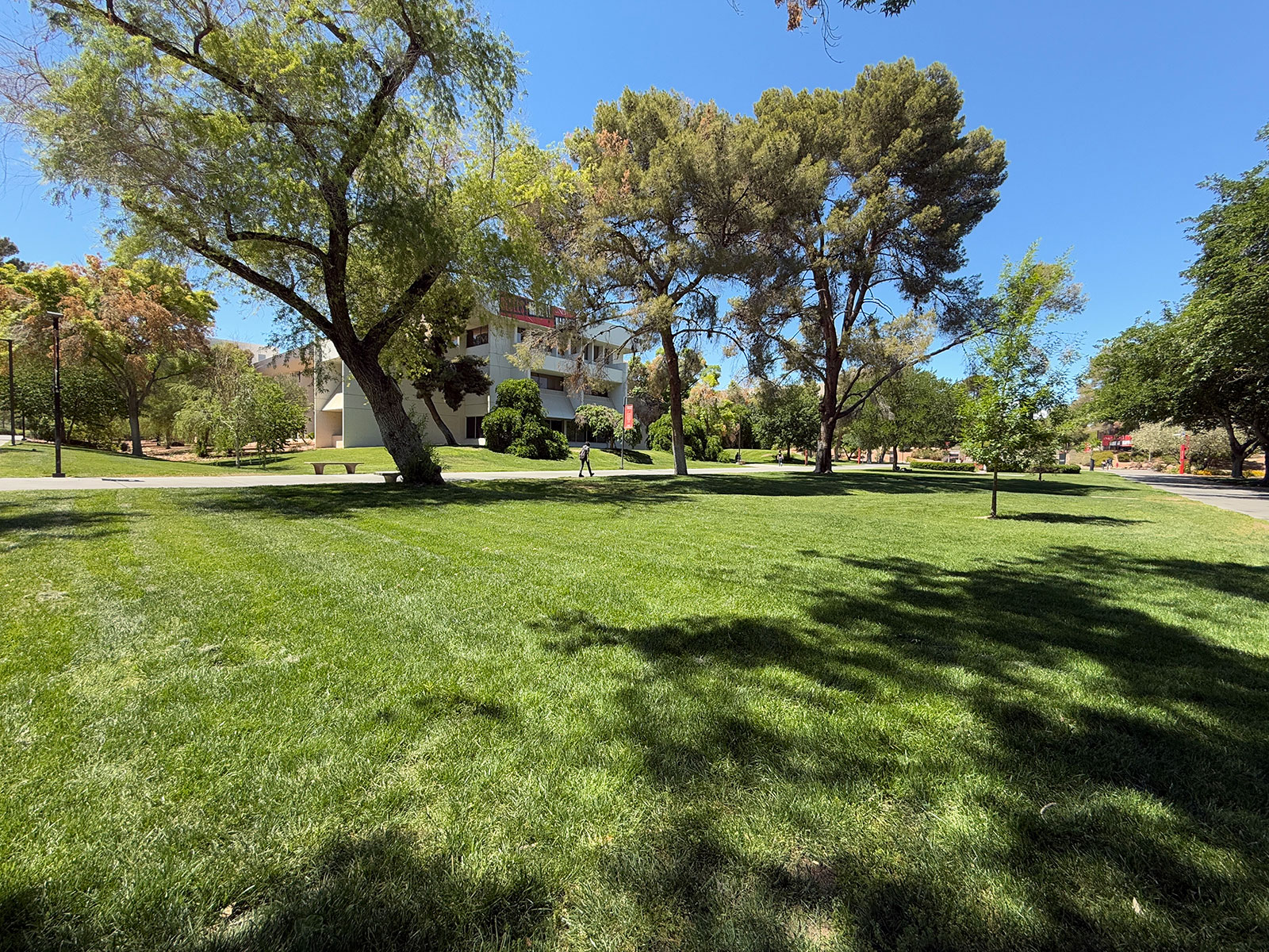 A grass field with trees on campus in front of the William D. Carlson Education Building