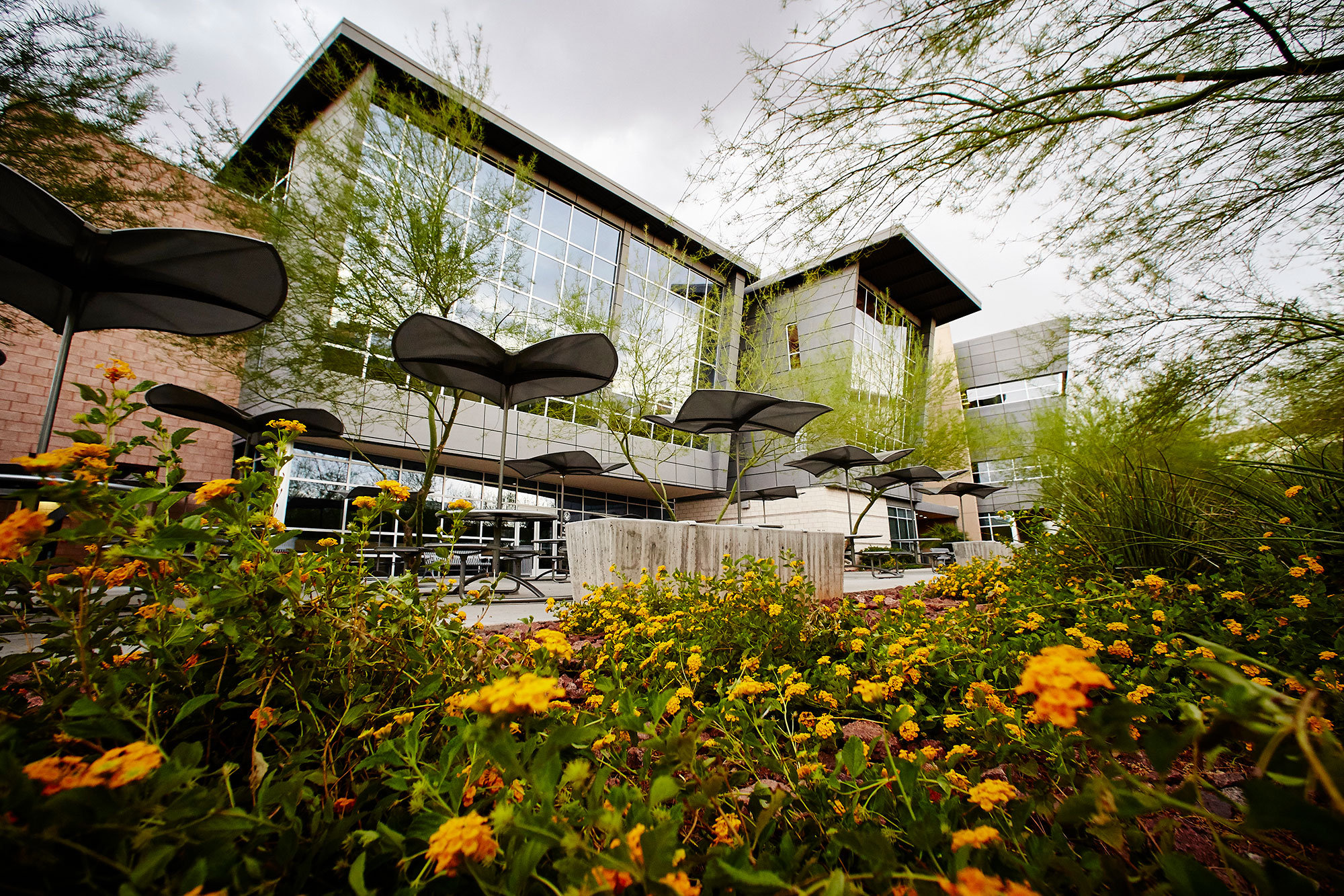 Photo of Student Wellness Center