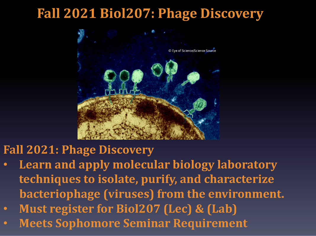 BIOL 207 - Phage Discovery Course Now Open (Fall 2021) | College of ...