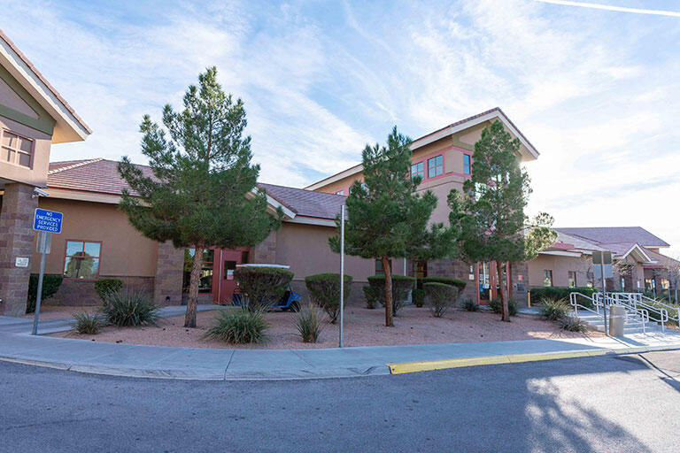 Southern Nevada Adult Mental Health Service (SNAMHS)