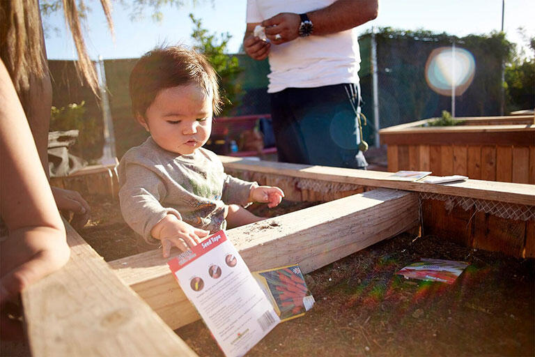 An adult with a child sitting in the raised garden carrot bed.