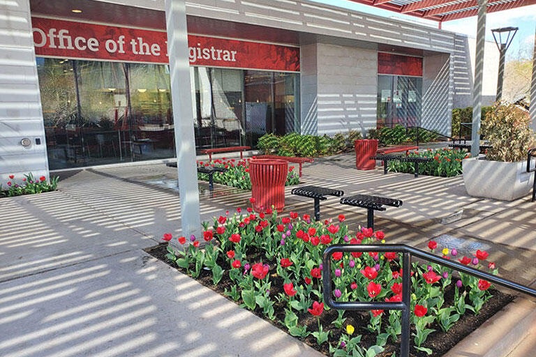 A view of flowers and landscaping in front of the Registrar office.