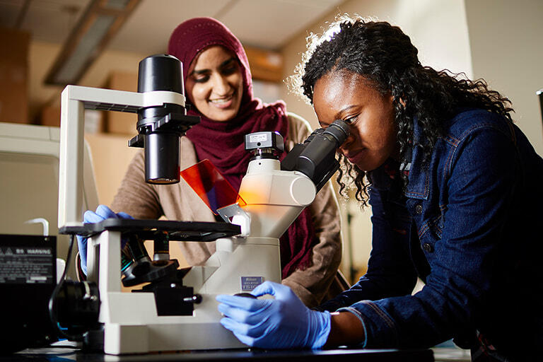 Graduate assistants working