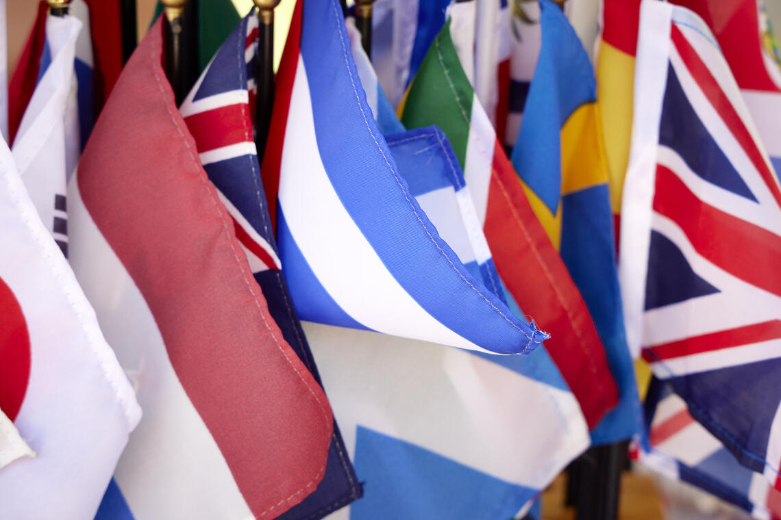 a cluster of flags form different countries displayed 