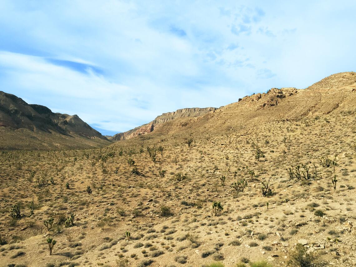 Patrolling the Mojave landscape