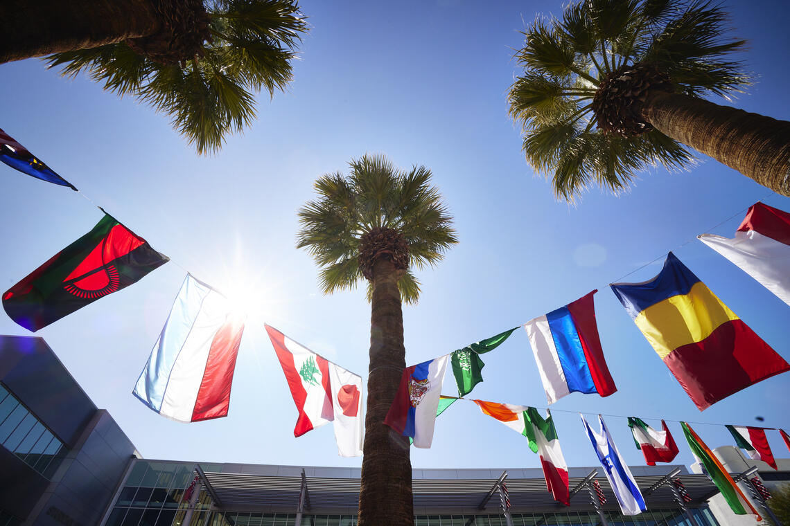 Frogs eye view of flags hung in the air in between palm trees
