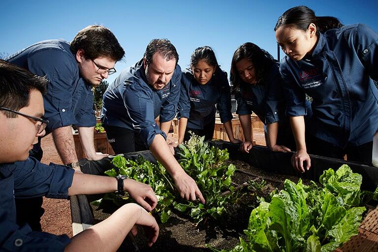 Students working in the community garden