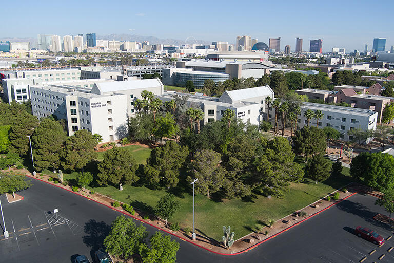 bird's eye view of a building with grass and trees