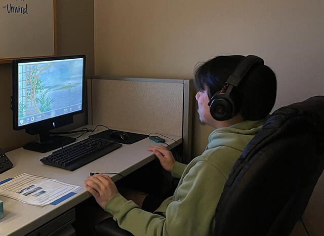 Picture of a boy on the computer