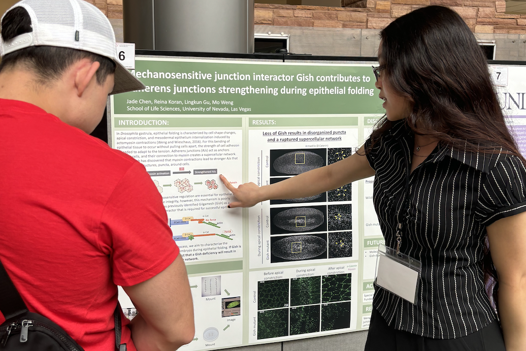 Student presenting a project to another person