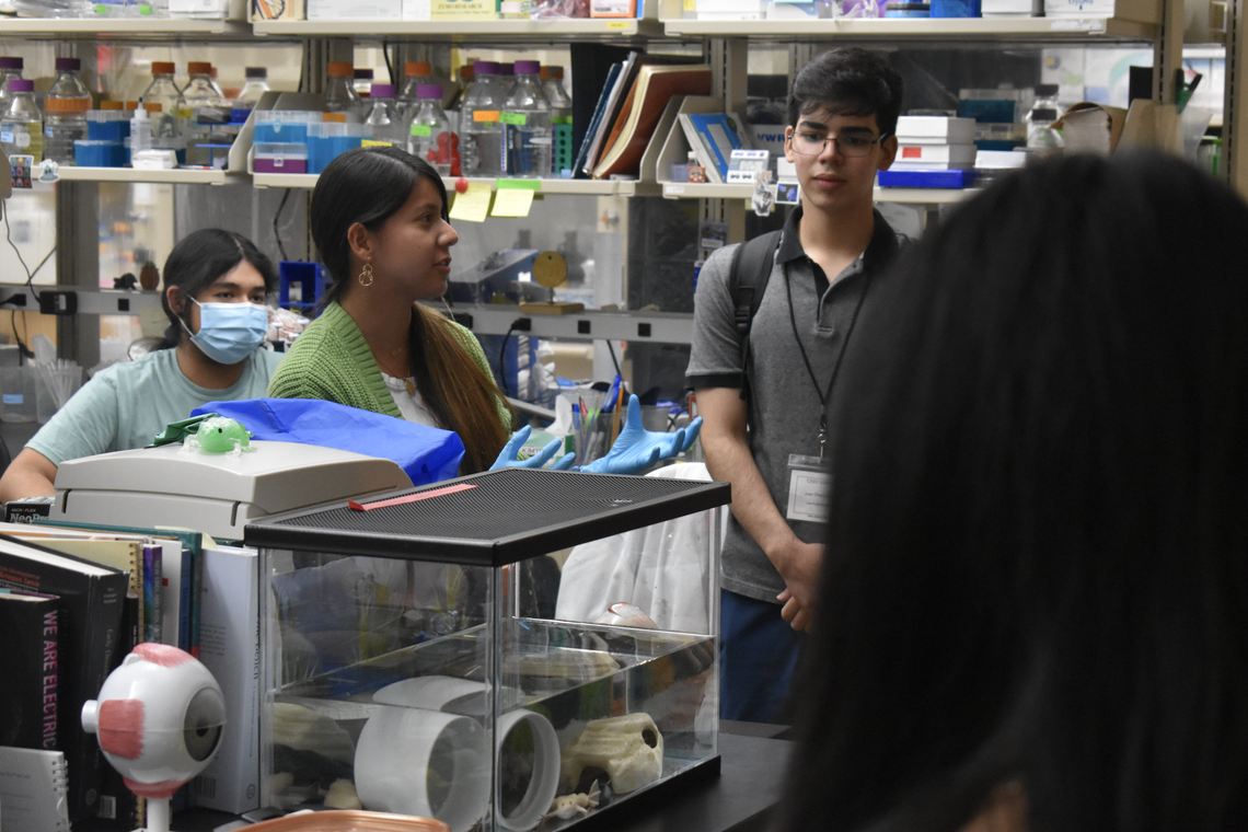 Students inside a lab
