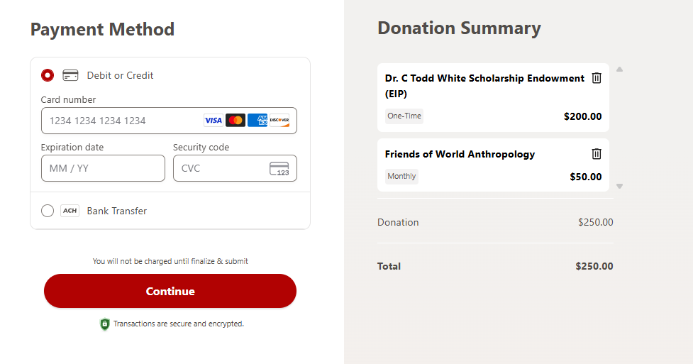 Screenshot of the payment options screen on the donor portal