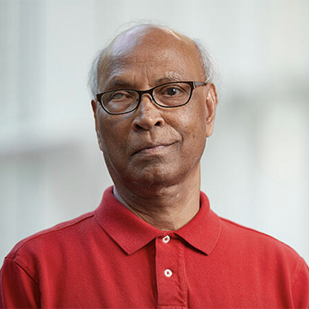 Pradip Bhowmik's Portrait