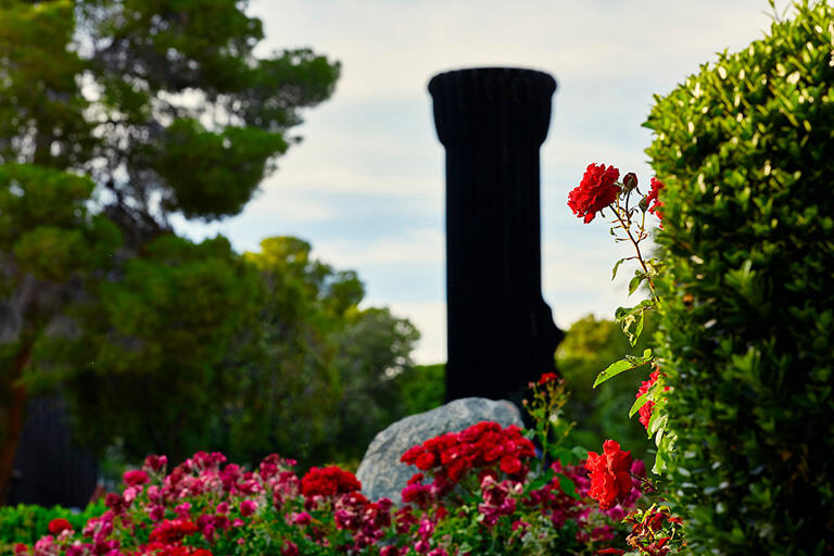 U.N.L.V. flashlight framed by red roses