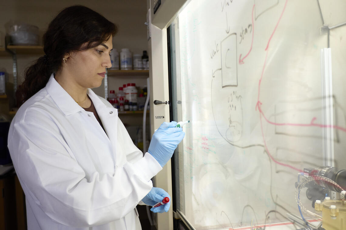 Woman in a white coat and blue gloves writing on a whiteboard