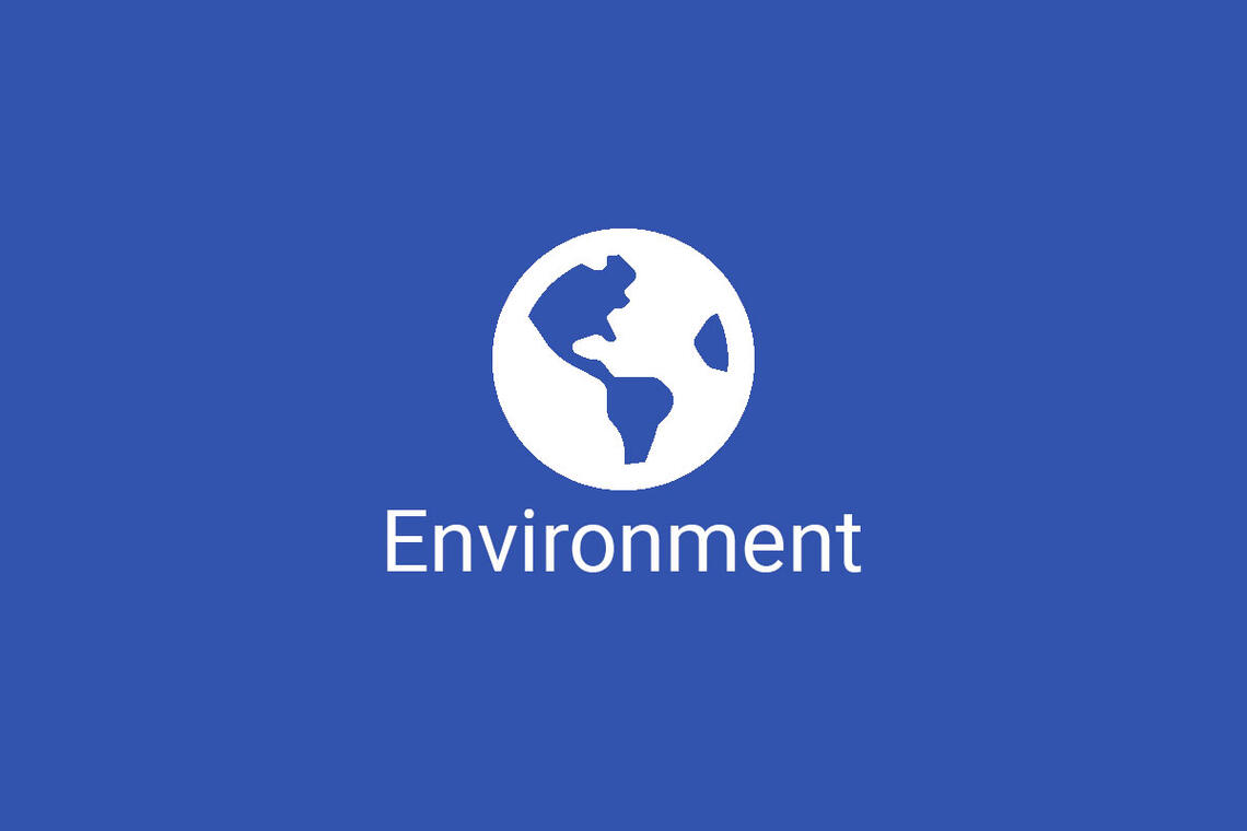 Environment