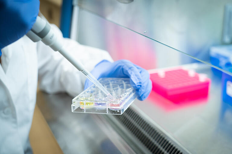 Researcher using a pipette to transfer liquid into a laboratory plate.