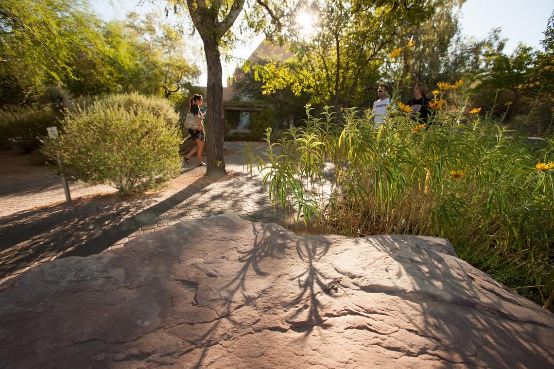 Donald H. Baepler Xeric Garden