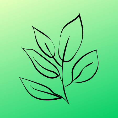 Drawing of five leaves stemming form the same root