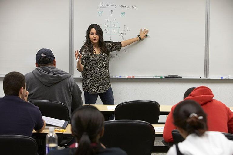 Second-Year Seminars