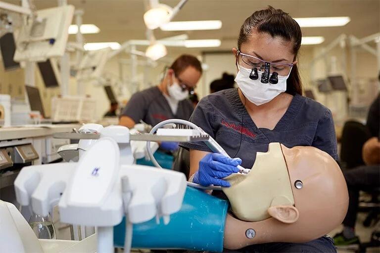 A dental student practicing on a model