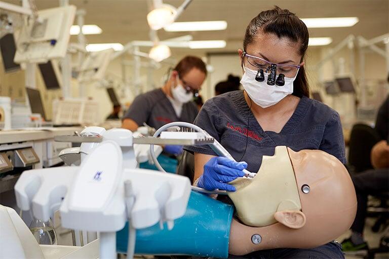 Woman doing dental work on a mannequin 
