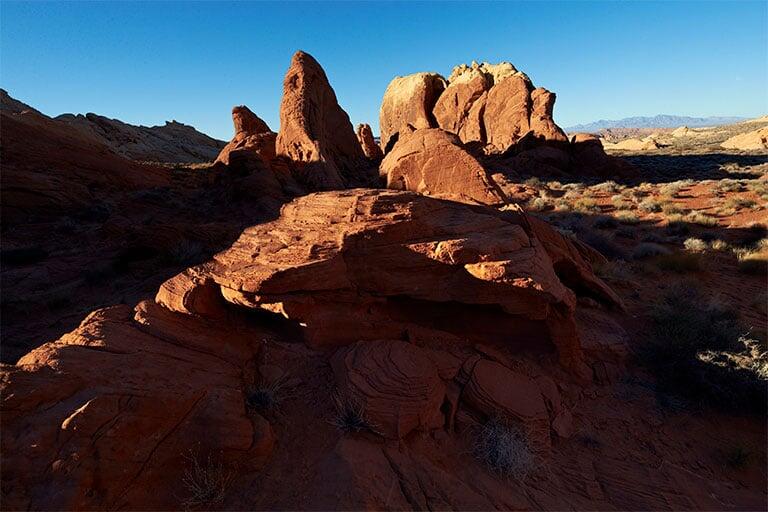 Landscape Architecture