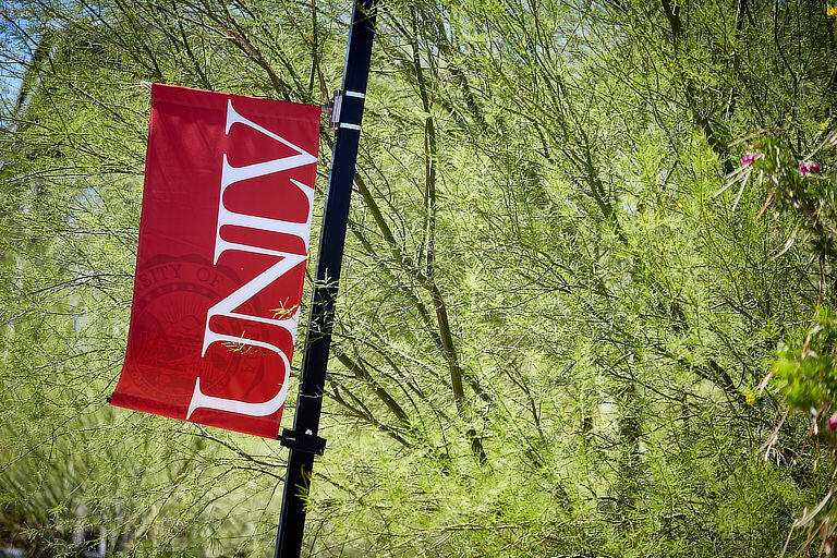 UNLV flag