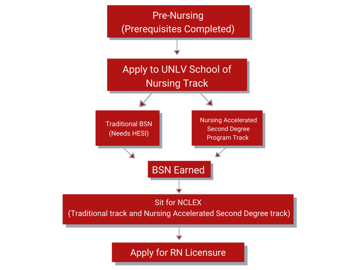 Bachelor of Science in Nursing map. See the corresponding link for long description.