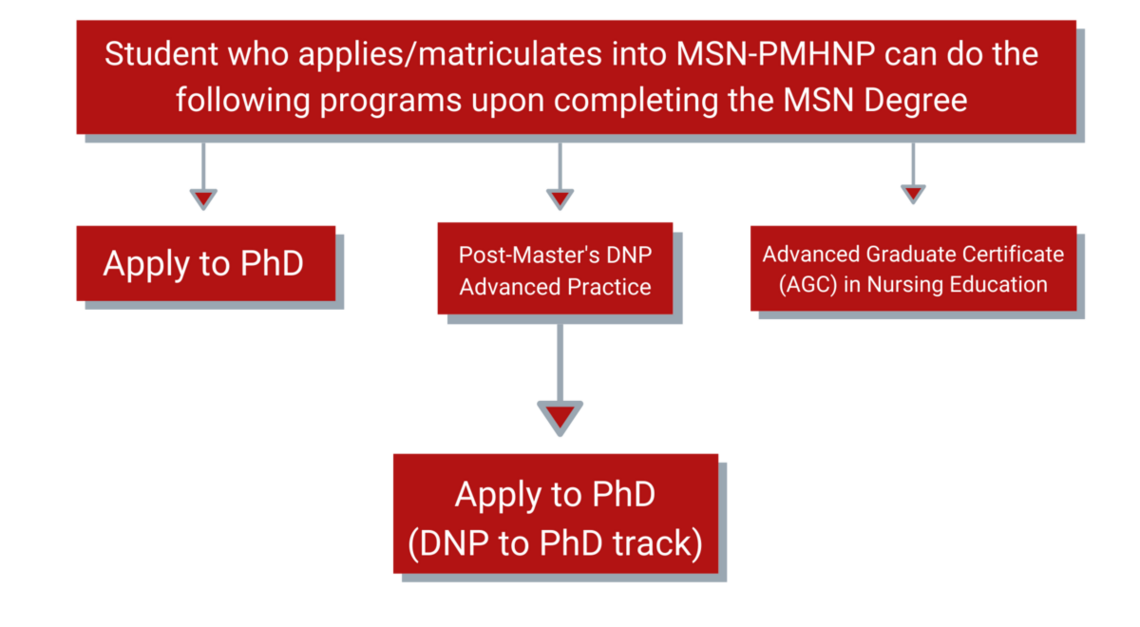 Master of Science in Nursing - Psychiatric Mental Health Nurse Practitioner Roadmap. See the corresponding link for long description.