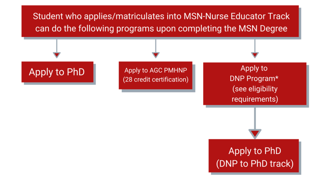 Master of Science in Nursing - Nurse Educator Roadmap. See the corresponding link for long description.