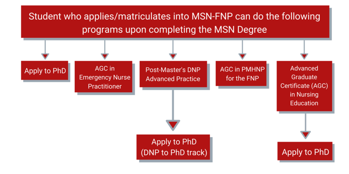 Master of Science in Nursing - Family Nurse Practitioner Roadmap. See the corresponding link for long description.