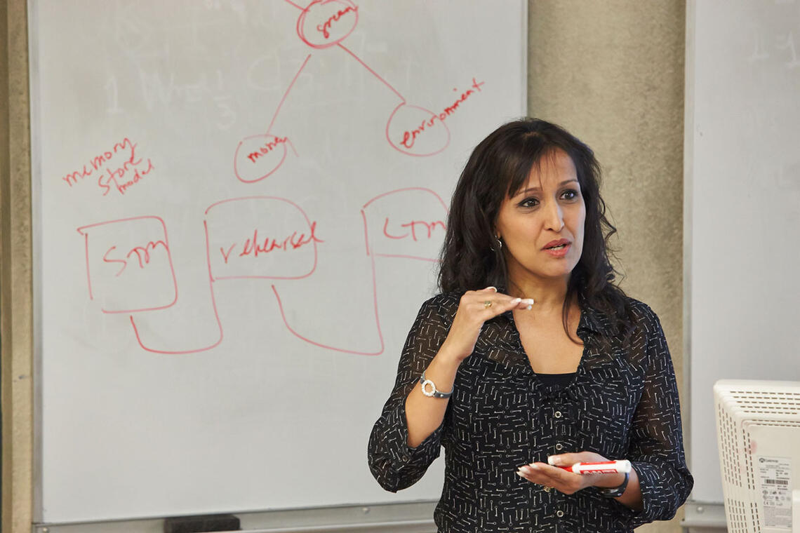 Female professor lectures her students at the lecture hall
