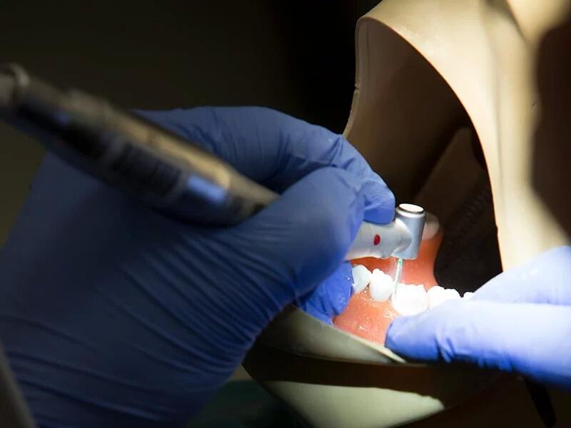 A student examining a model's teeth