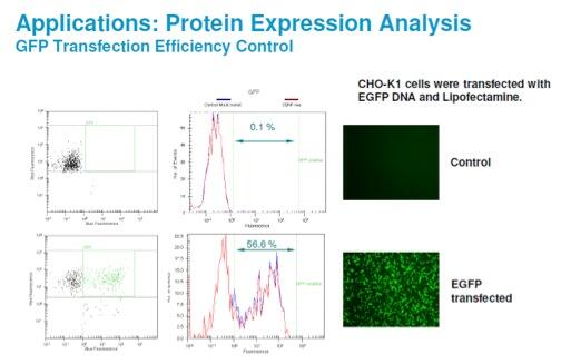 Applications: Protein Expression Analysis