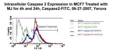 Intracellular Caspase