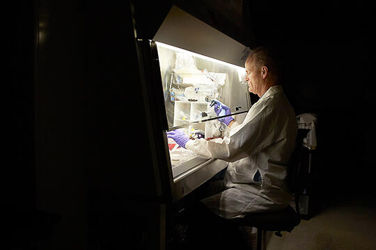 Bryan Spangelo works in lab