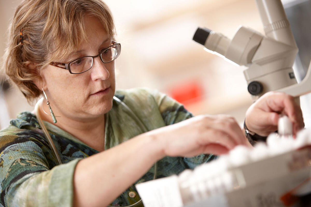 Scientist lifting test tubes.