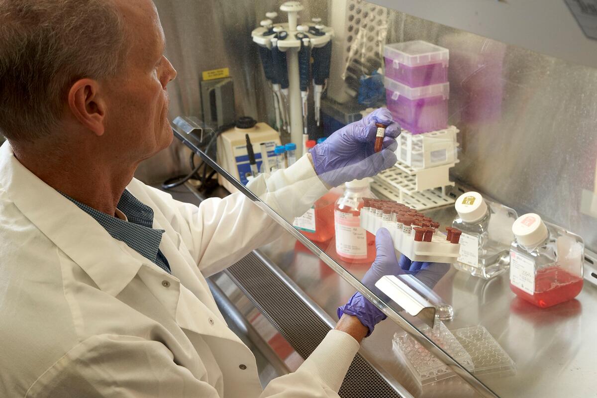 Professor of Chemistry Bryan Spangelo looks through vials in his lab
