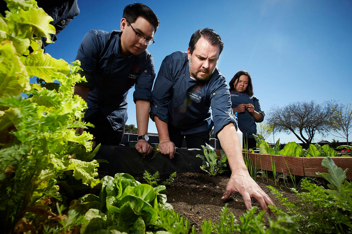 Executive Chef Mark Sandoval works with students in UNLV's community garden